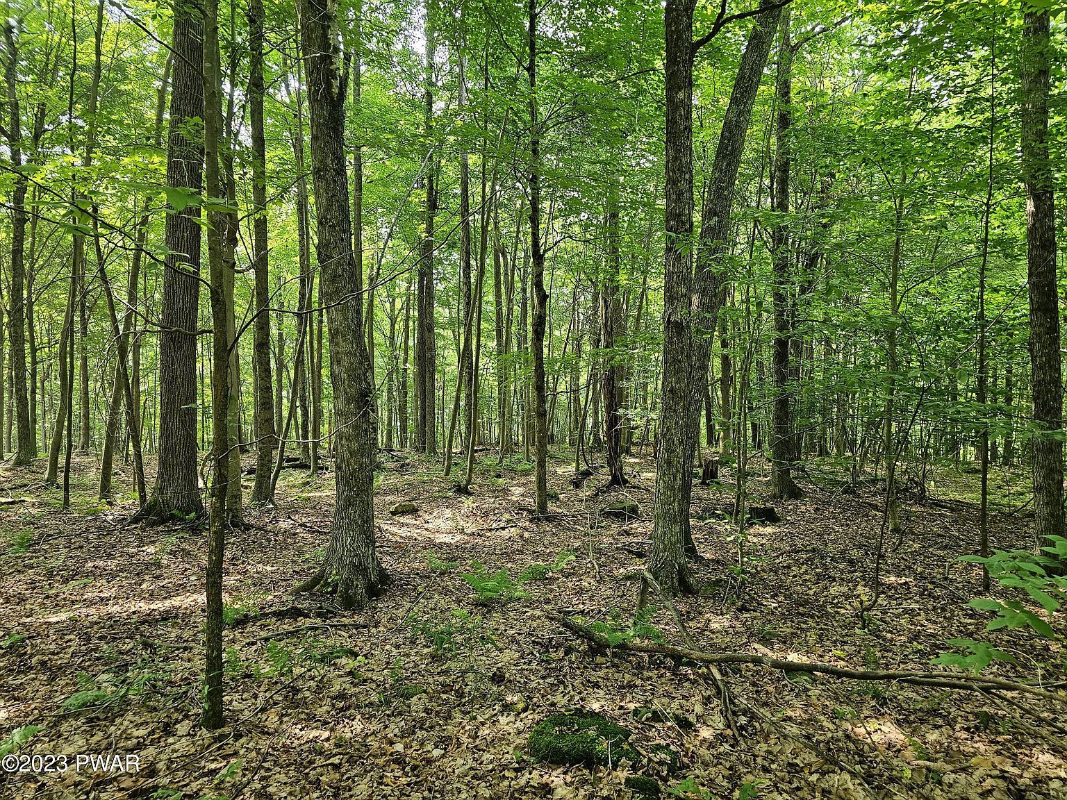 61 Rock Run Ln Equinunk, PA 18417, 18417