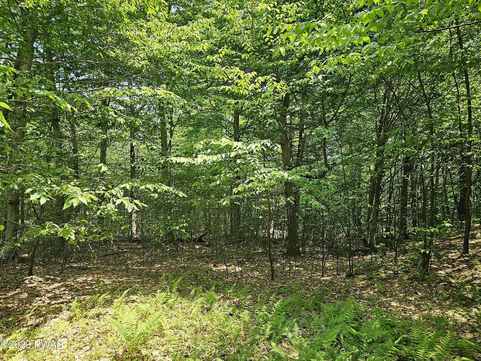 69 Stonegate Rd Equinunk, PA 18417, 18417
