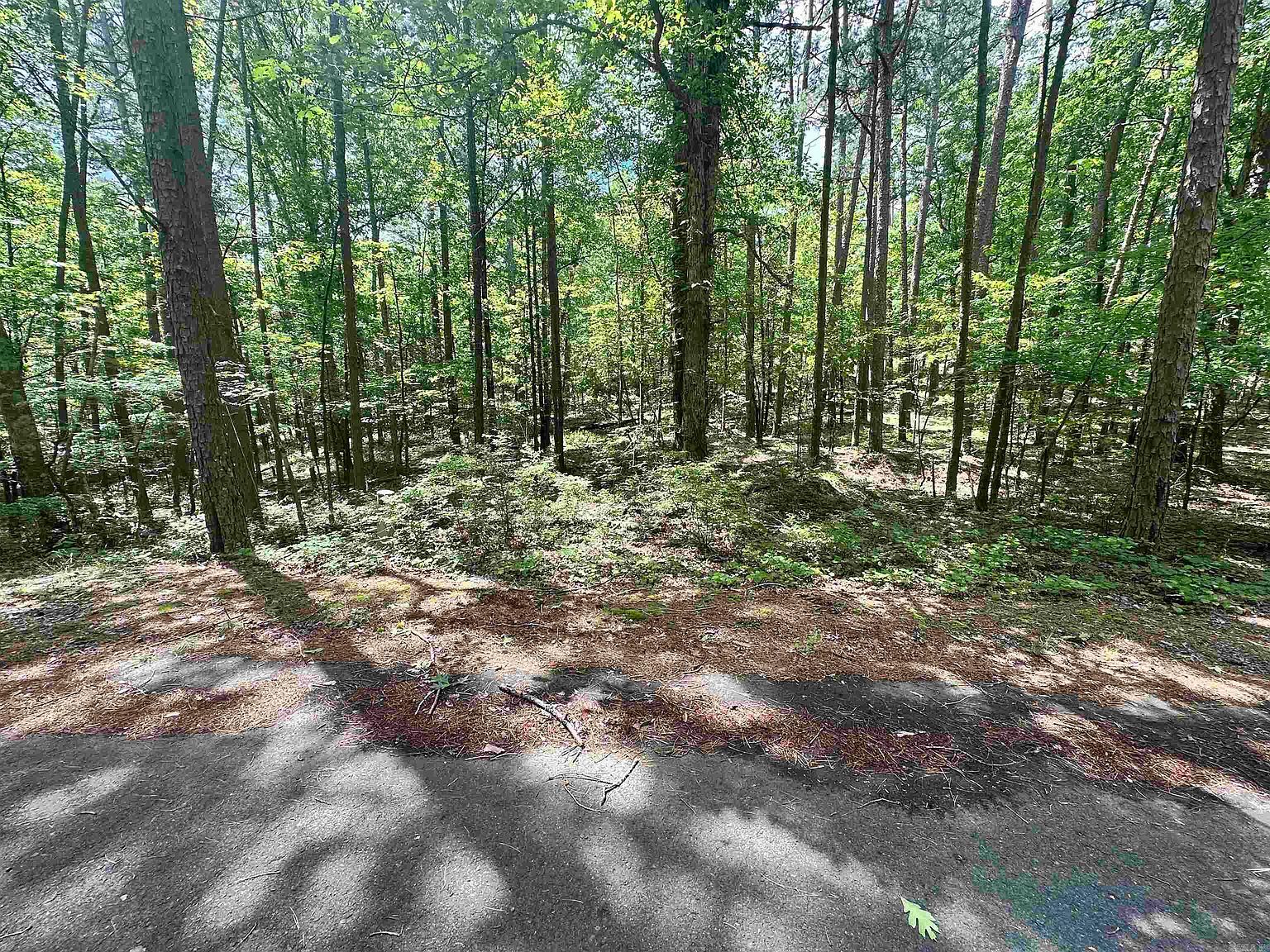 4 Modesto Way, Hot Springs Village, AR, 71909 - Thumbnail 2