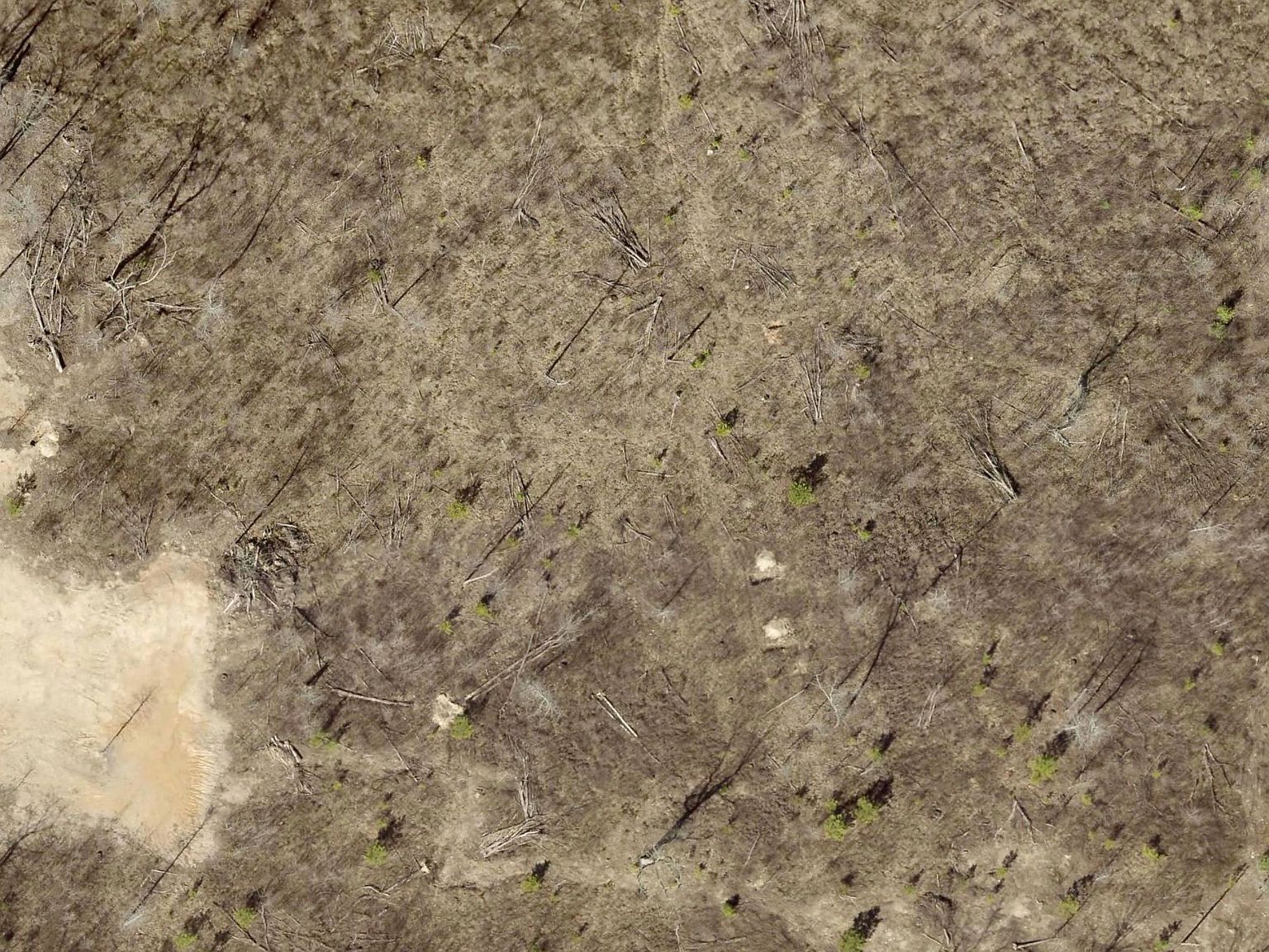 TRACT 8B Rigsby Loop Lonsdale, AR 72087 - Thumbnail 2