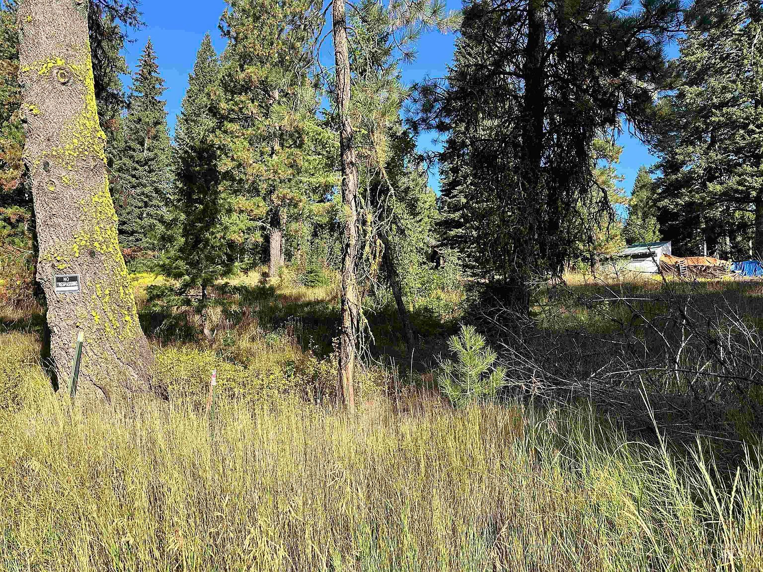 20 Andy, McCall, ID, 83638 - Thumbnail 2