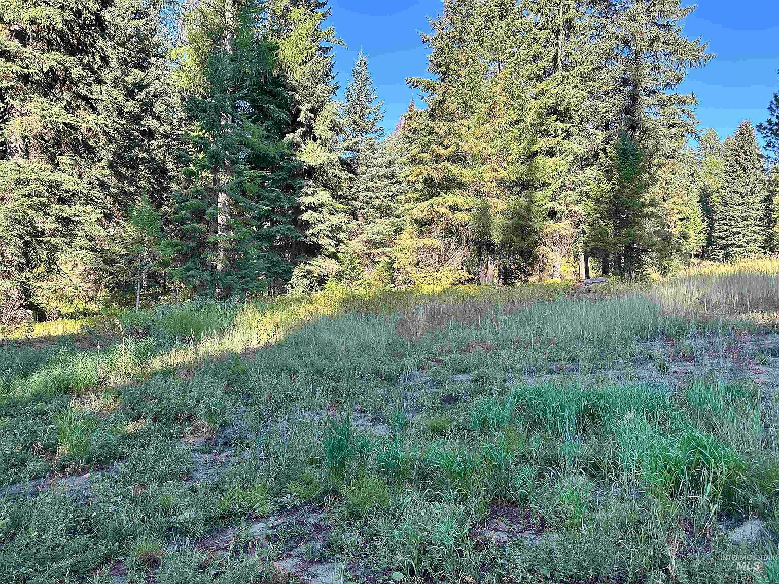 17 Andy Ln Donnelly, ID 83615 - Thumbnail 2