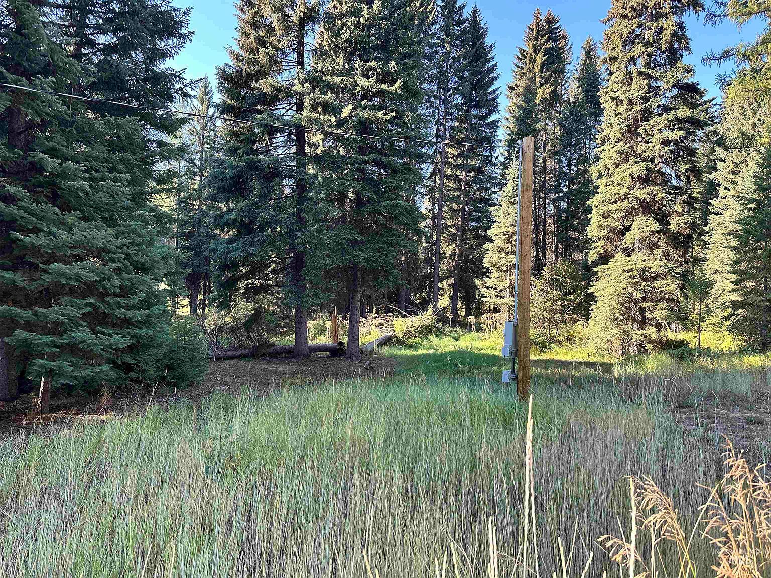 15 Andy Ln Donnelly, ID 83615 - Thumbnail 2