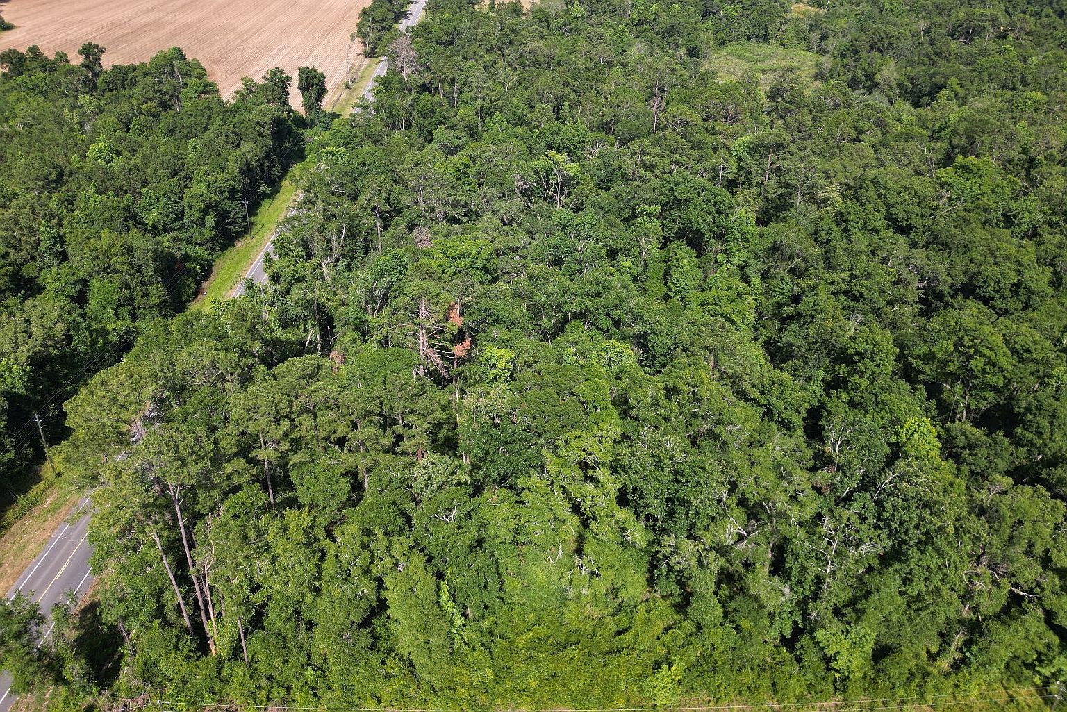 0 NW 31st Ln LOT 15 Jennings, FL 32053 - Thumbnail 2