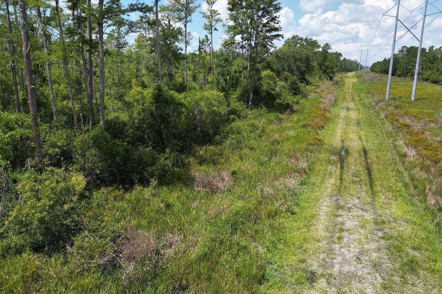 Florida Power Esmnt, Perry, FL, 32348 - Thumbnail 2