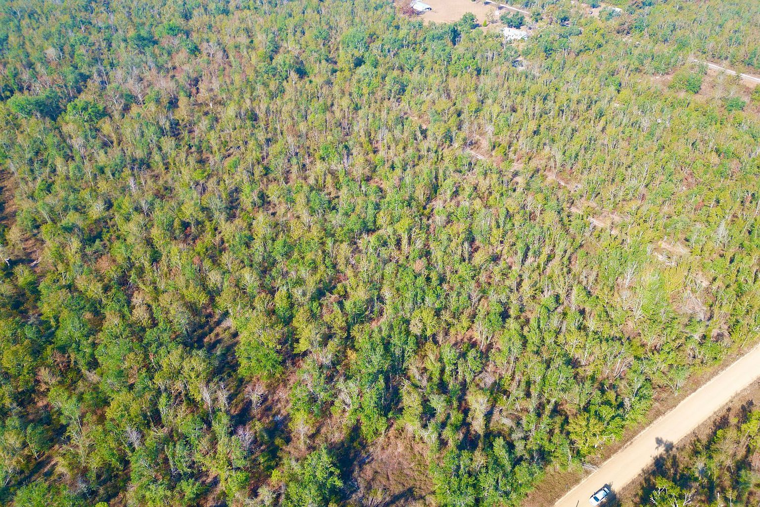 SE Kachina Ave Lee, FL 32059 - Thumbnail 2