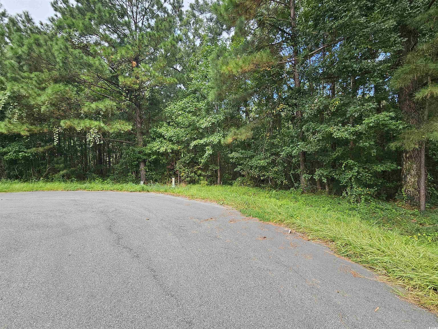 8340 Bucksport Heights Ct Conway, SC 29527  | Land/Lot