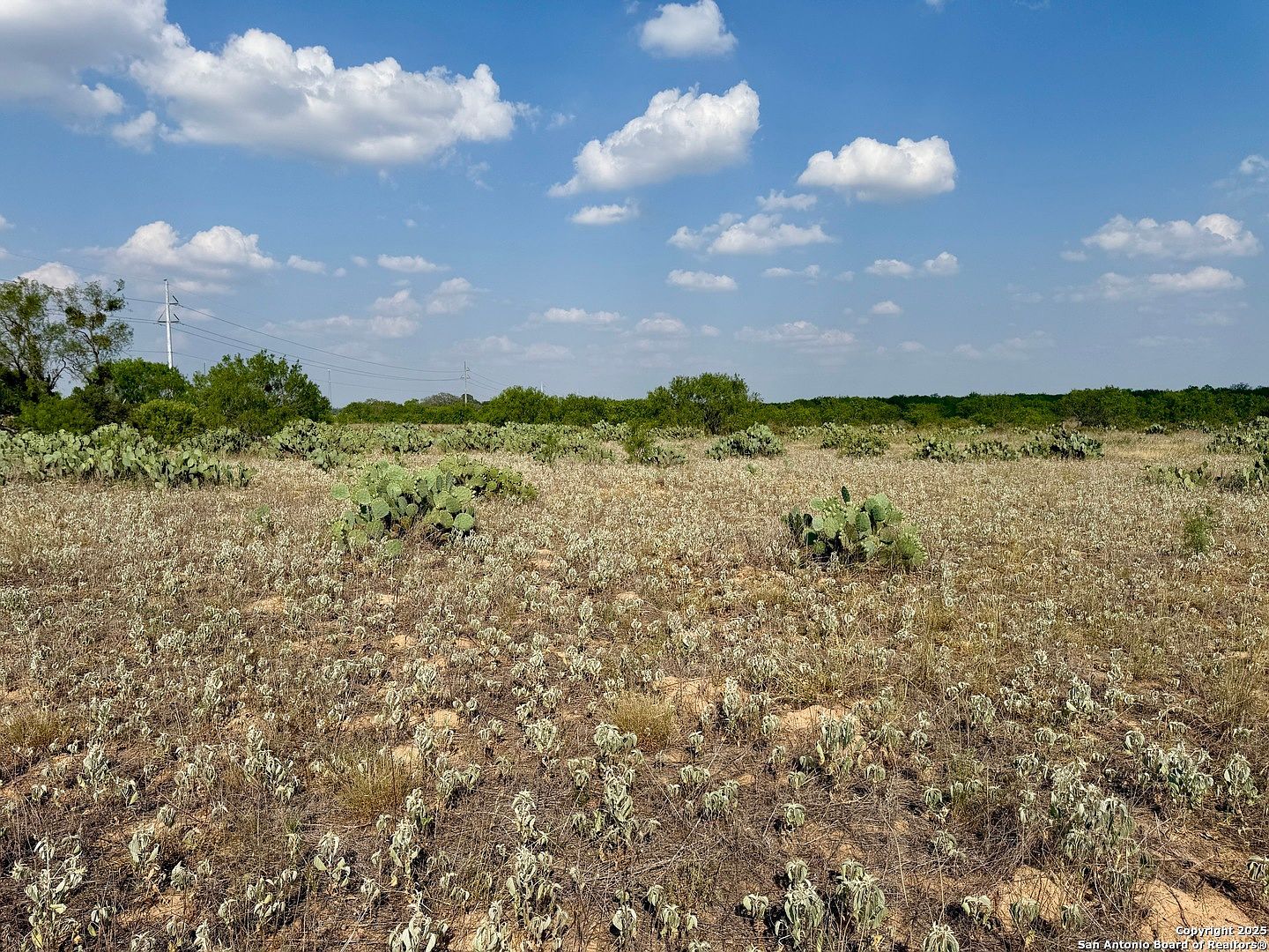LOT 61 E County Road 1647 Moore, TX 78057 - Thumbnail 2