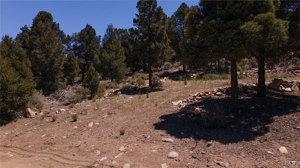 0 Upland Dr Big Bear City, CA 92314  | Land/Lot