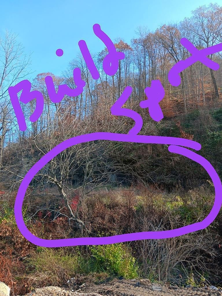 0 Highway 343 Mc Roberts, KY 41835 - Thumbnail 2