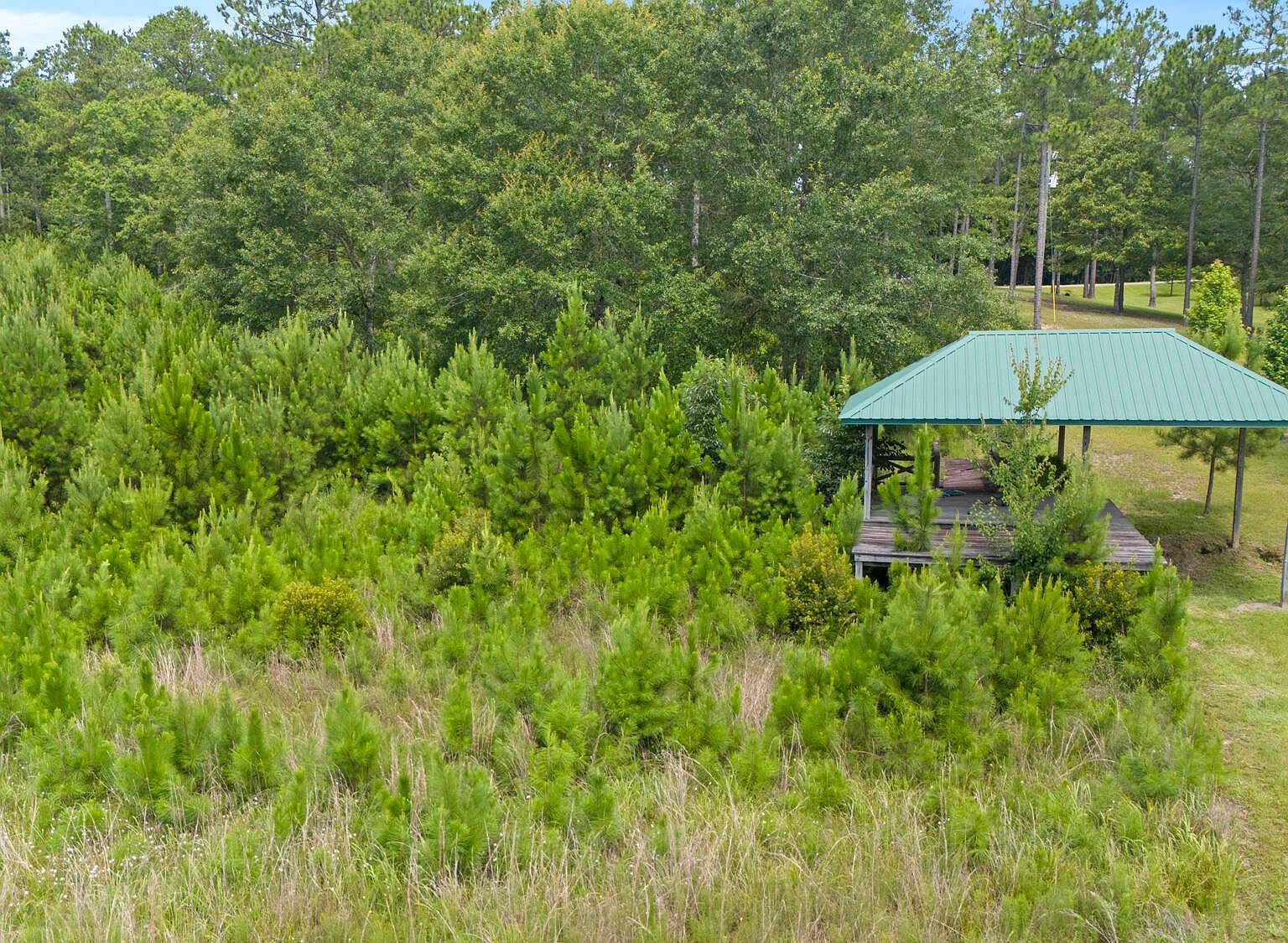 Burnt Pine Rd Leakesville, MS 39451 - Thumbnail 2