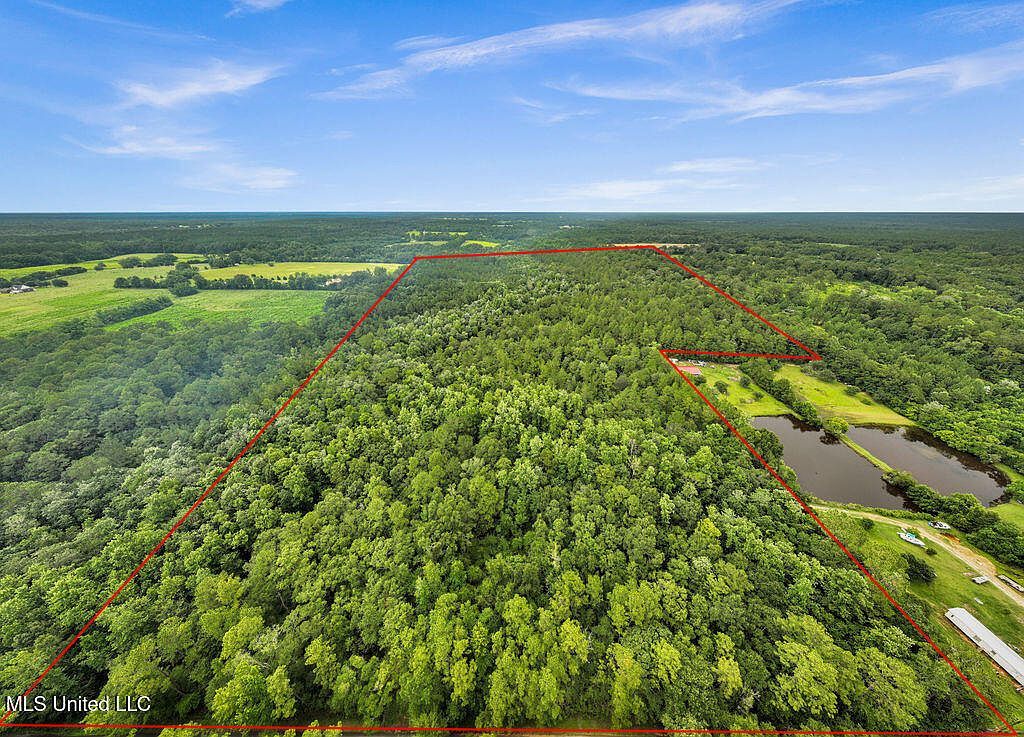 278 Cowart Rd Lucedale, MS 39452 - Thumbnail 2