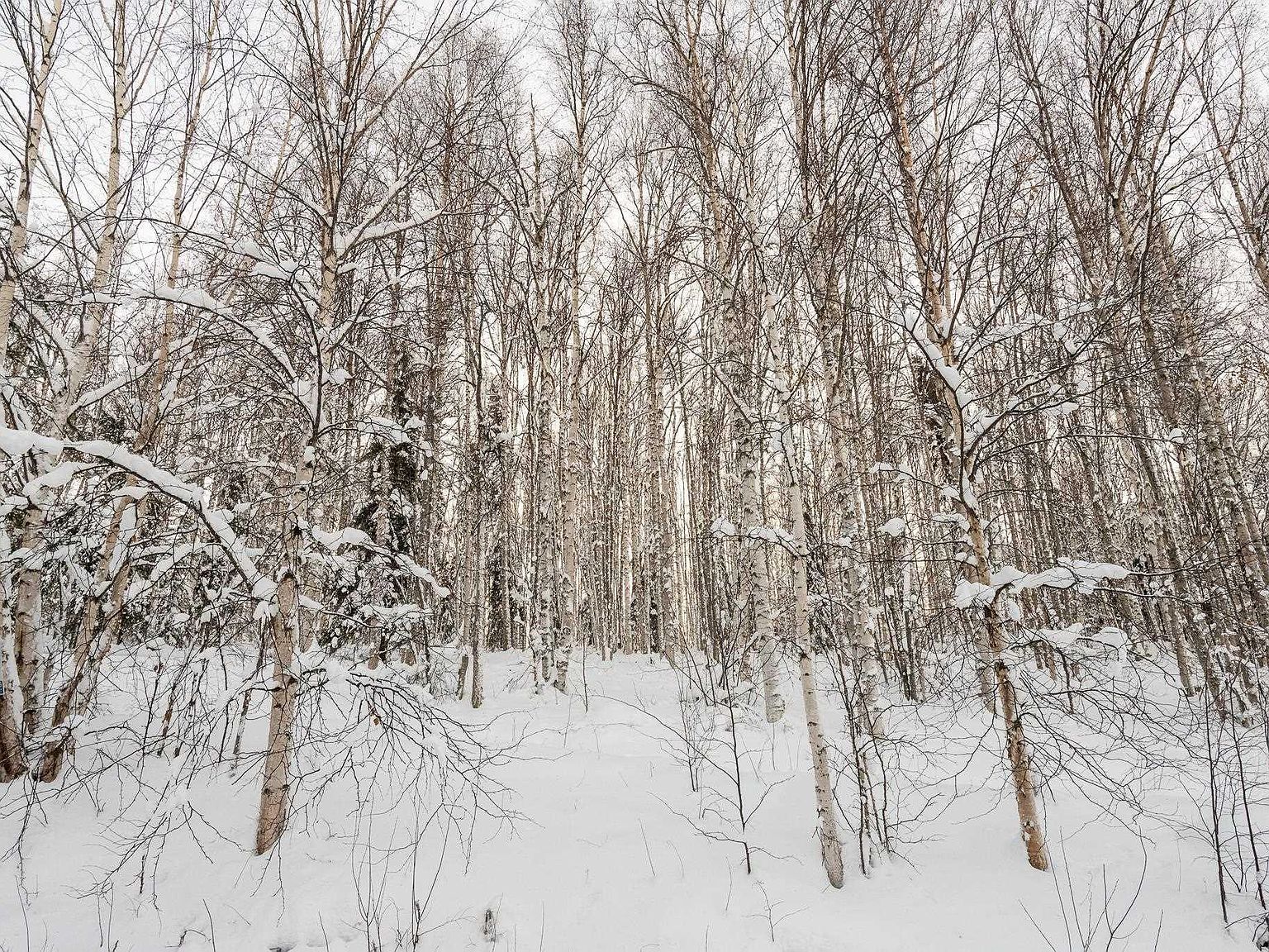 Nhn Chena Ridge Rd Fairbanks, AK 99709  | Land/Lot