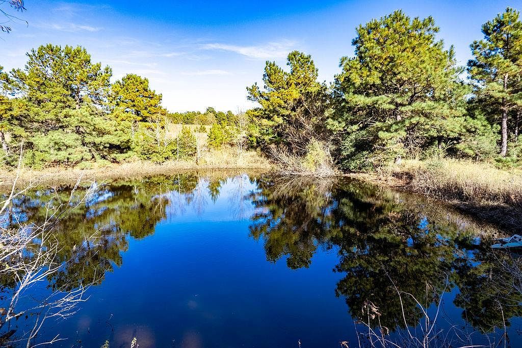 476 An County Rd #414 Palestine, TX 75803 - Thumbnail 2