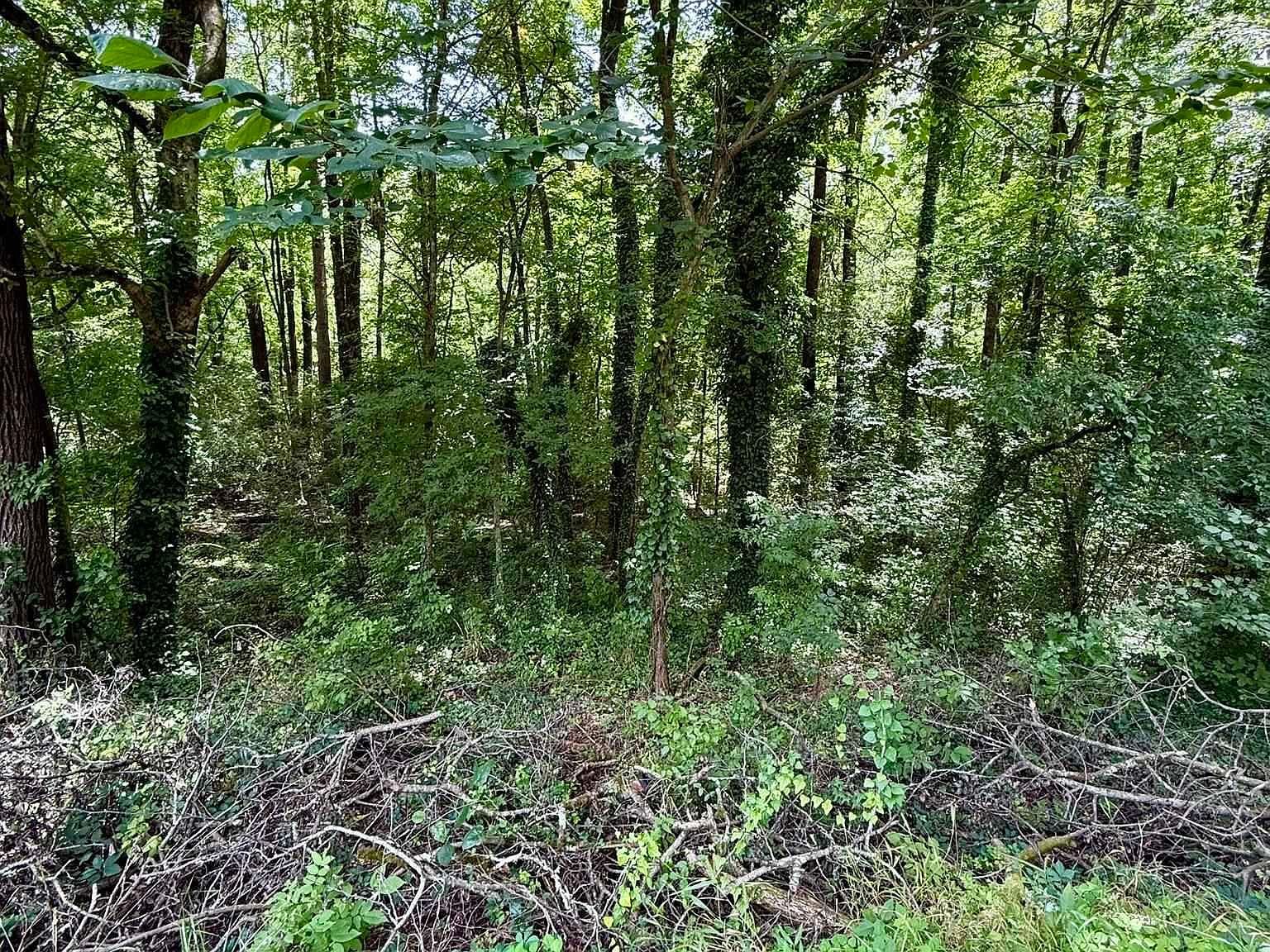 8215 Baker Ave Leeds, AL 35094 - Thumbnail 2