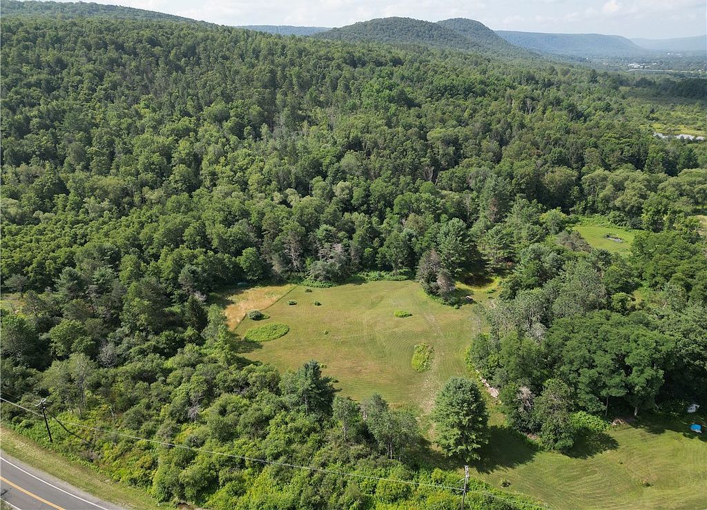 1310 County Road 16 #13 Beaver Dams, NY 14812 - Thumbnail 2