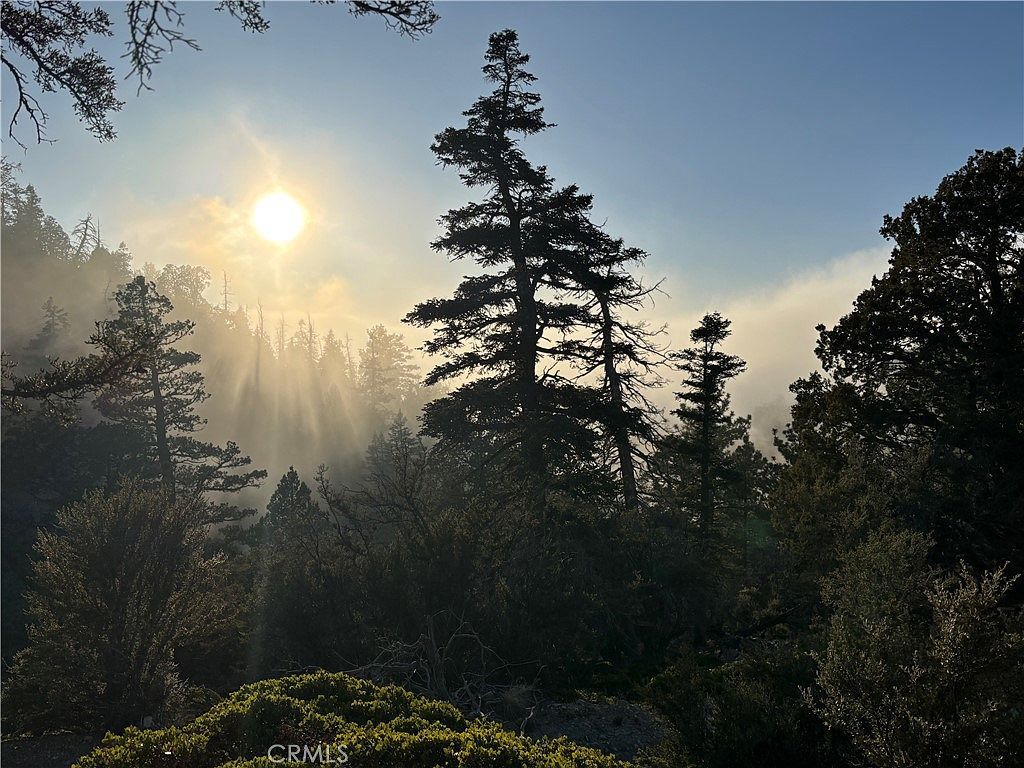 0 Ironwood Ln Angelus Oaks, CA 92305 - Thumbnail 2