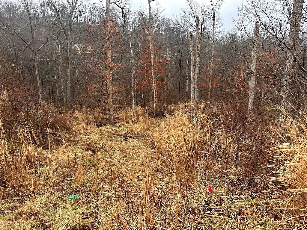 9 Joplin Pl South Charleston, WV 25303, 25303