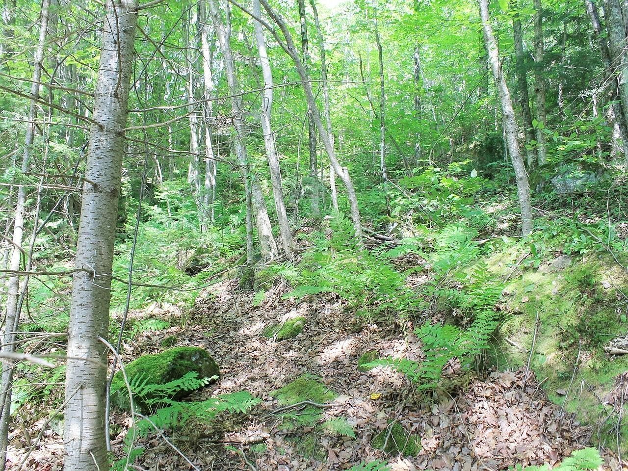 W Skye Dr #1 Upson, WI 54565, 54565