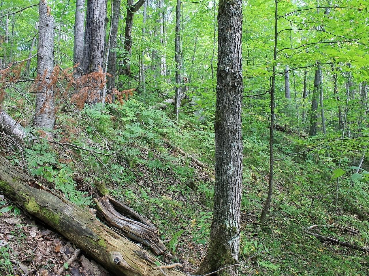 N Alpine Dr Lot 15 Upson, WI 54565  | Land/Lot