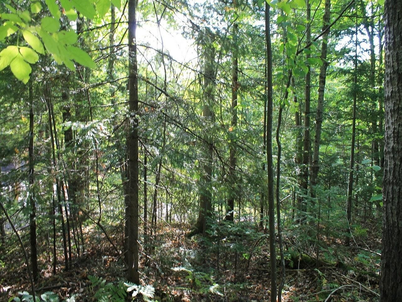 N Alpine Dr Lot 16 Upson, WI 54565, 54565
