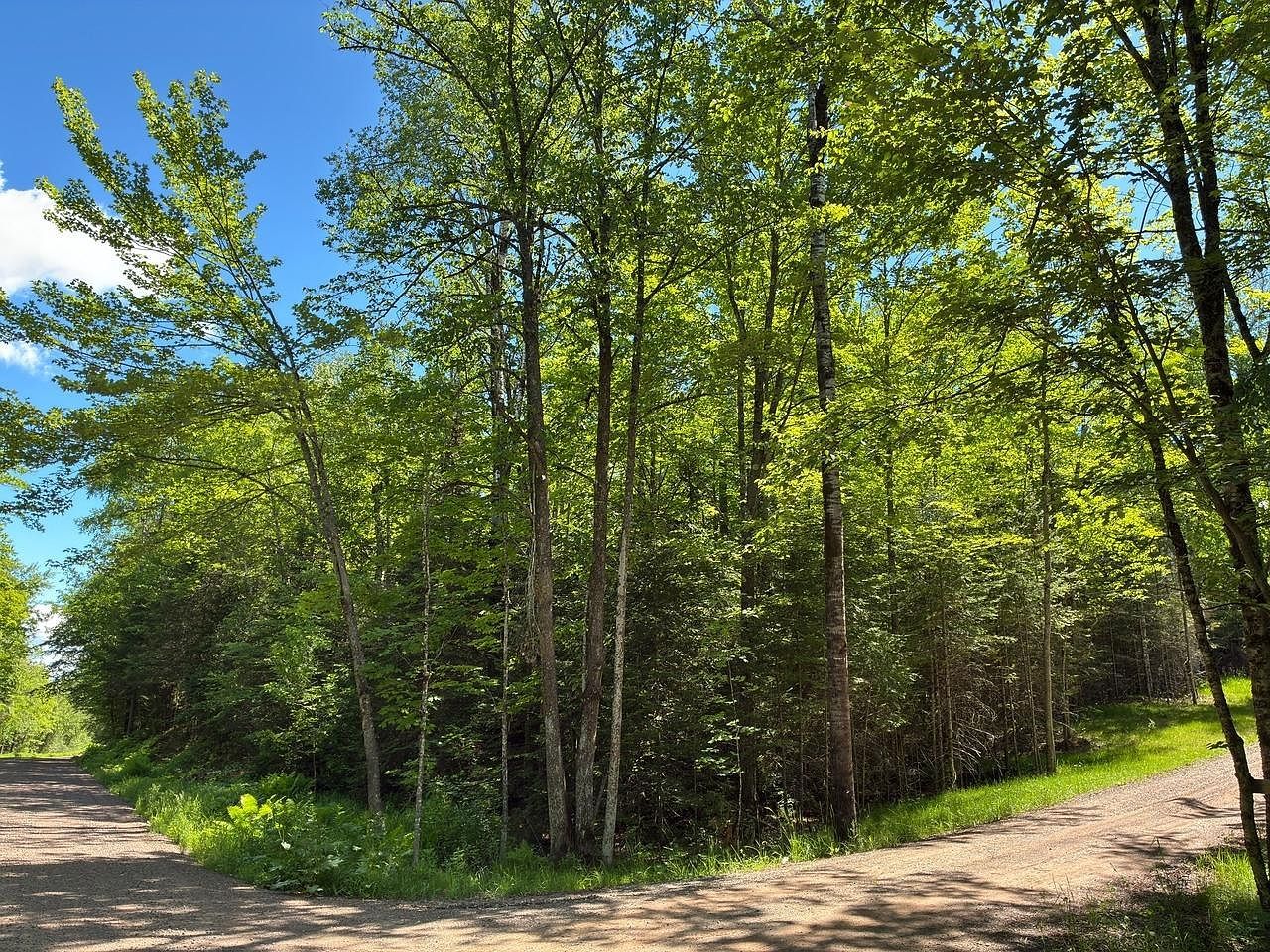 Off Boxberger Dr Lot 4 Presque Isle, WI 54557  | Land/Lot