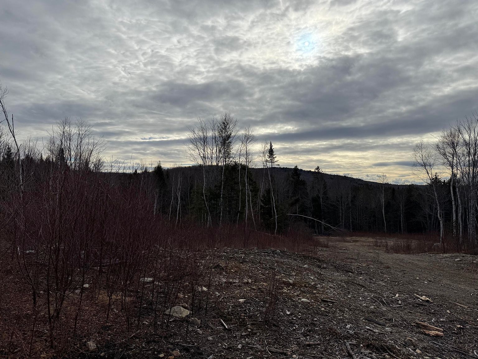 13 E Moores Rd Springfield, ME 04487 - Thumbnail 2