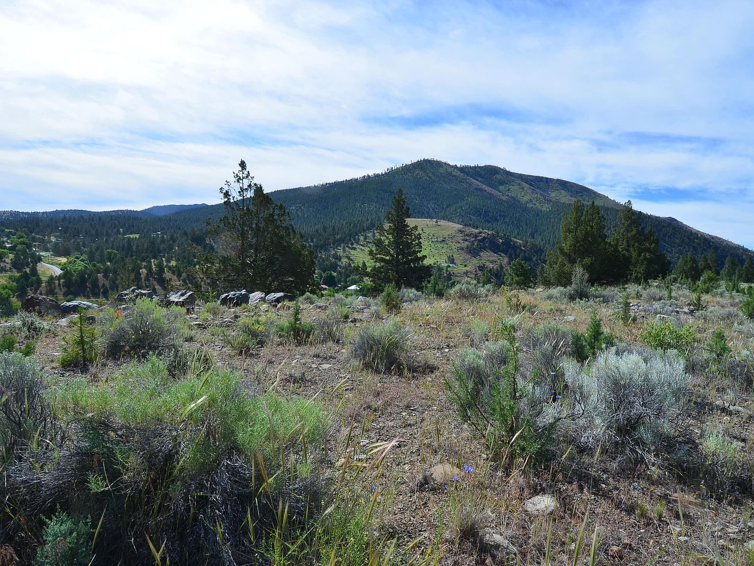 216 Elkview Dr Canyon City, OR 97820 - Thumbnail 2