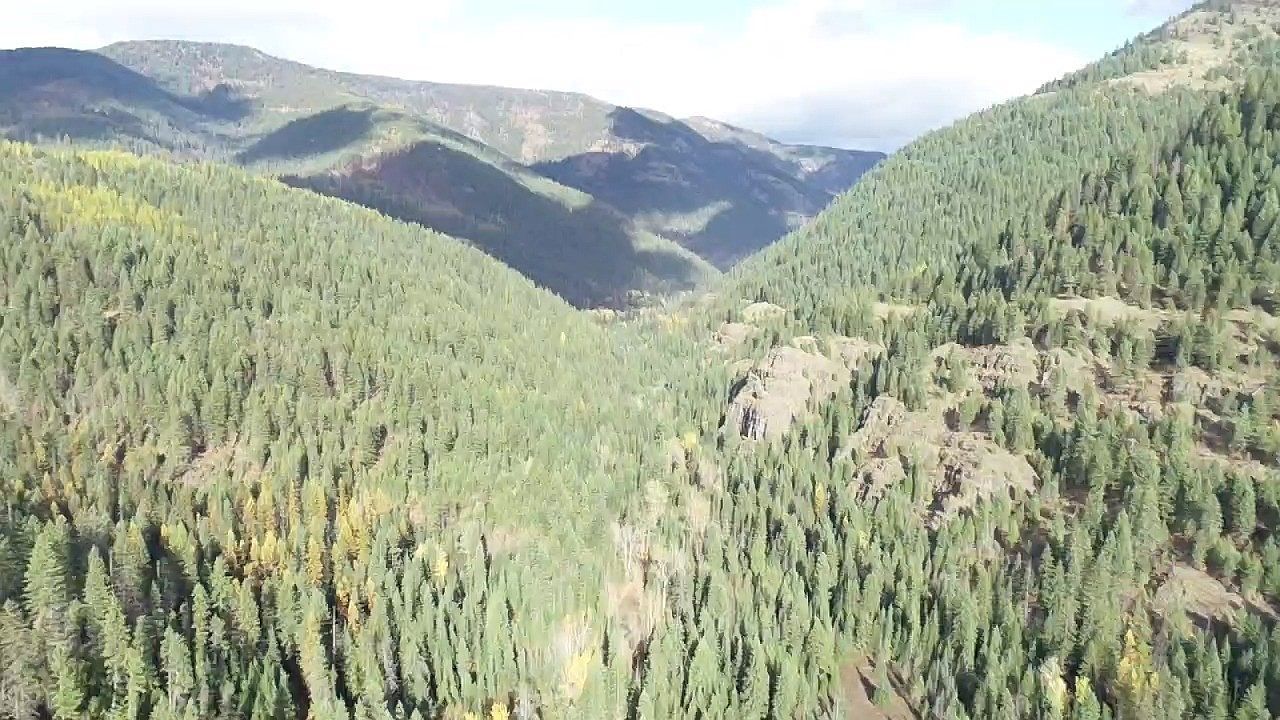 Nhn Pilgrim Creek Rd Noxon, MT 59853, 59853