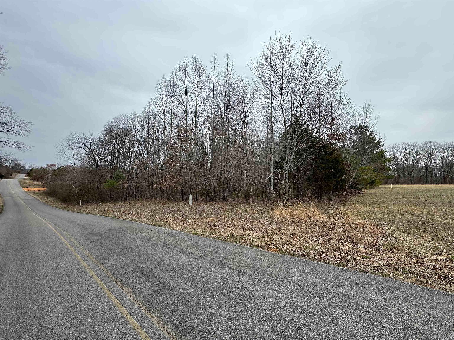 1022 County Road 545 Rogersville, AL 35652 - Thumbnail 2