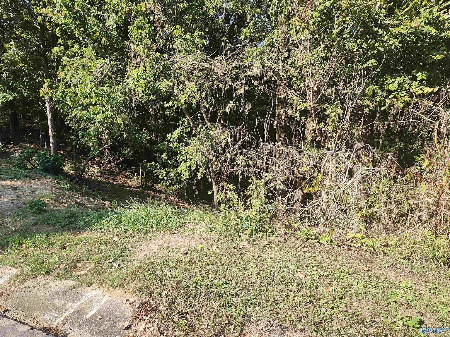 1929 Kennedy St Fultondale, AL 35068 - Thumbnail 2