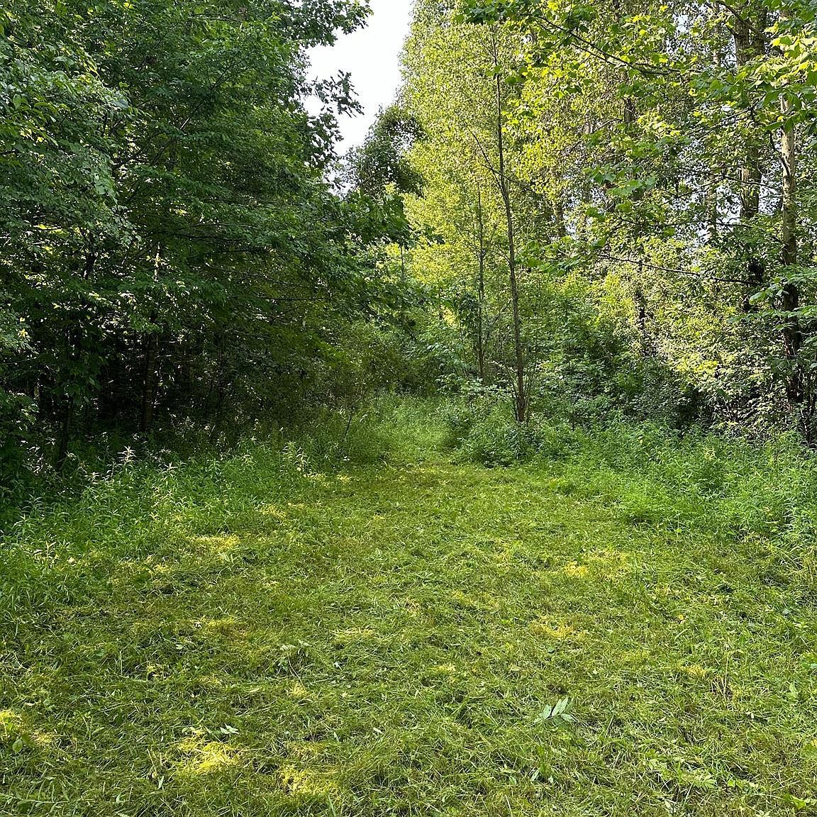 0 Birch Run Rd Millington, MI 48746 - Thumbnail 2