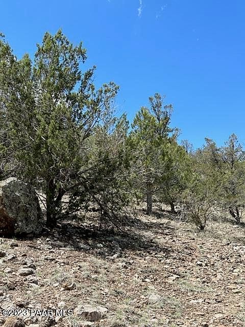 32727 W Bucks Rd Seligman, AZ 86337 - Thumbnail 2