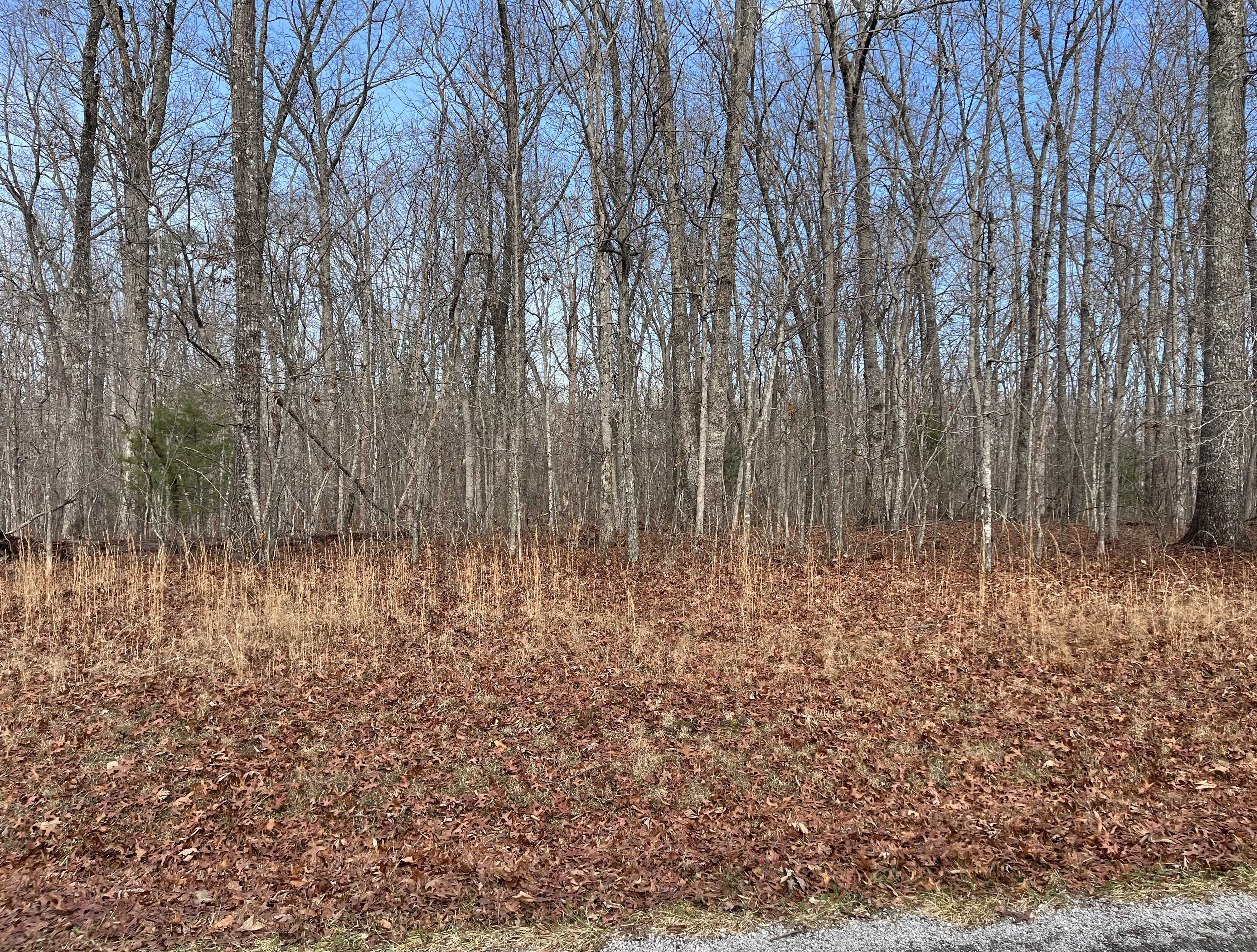 1029 Flathead Road, Crossville, TN, USA, 38572