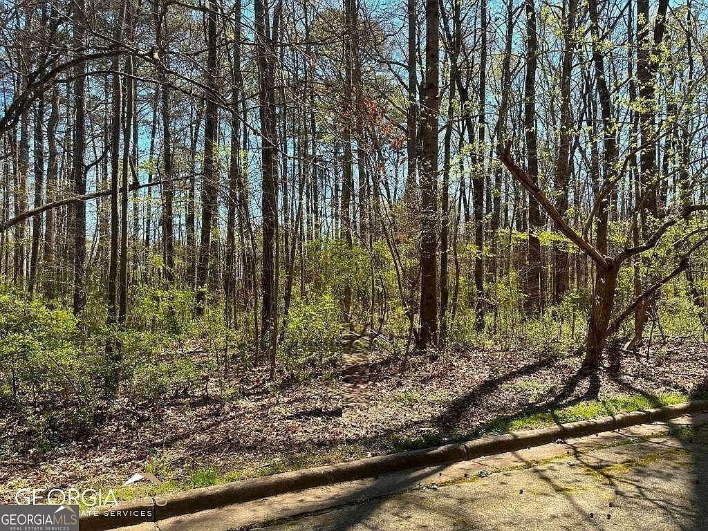 4310 Loveless Pl Ellenwood, GA 30294 | Land/Lot