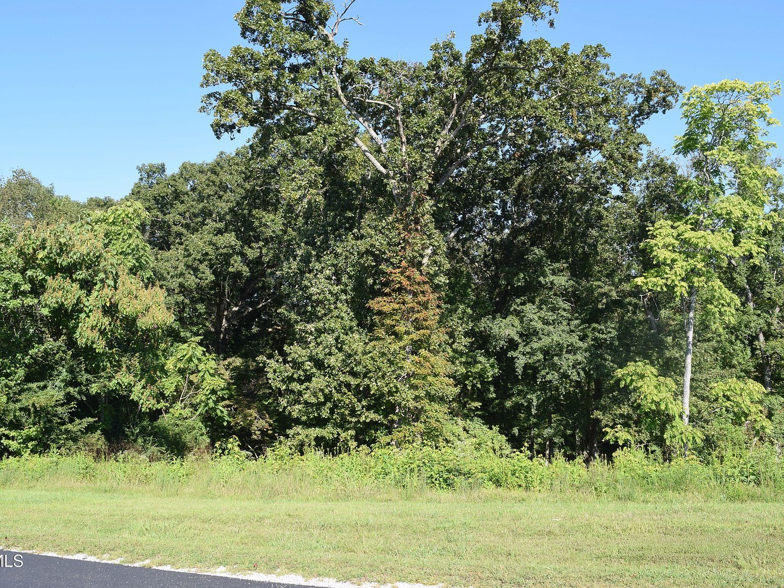 347 Water View Dr Rockwood, TN 37854 - Thumbnail 2