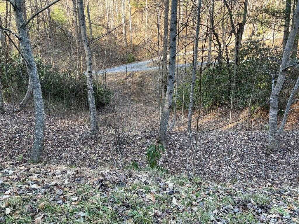 Lot 38 Brush Creek Mountain Rd  | Land/Lot