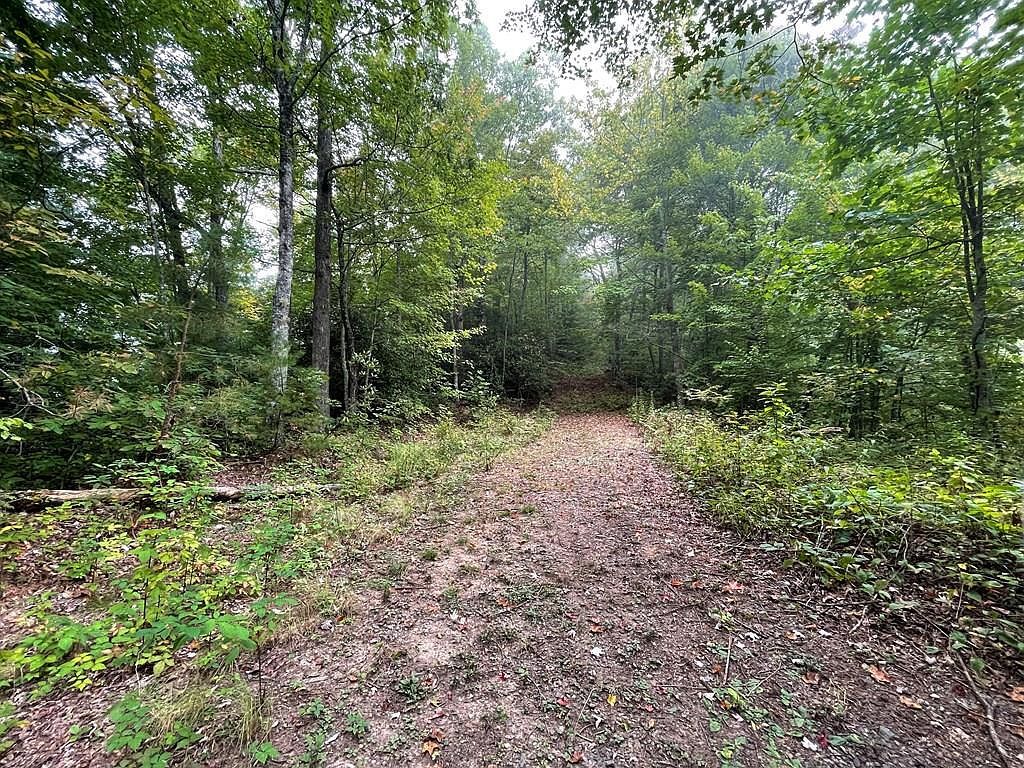 LOT 53 Still Branch Rd Whittier, NC 28789 - Thumbnail 2
