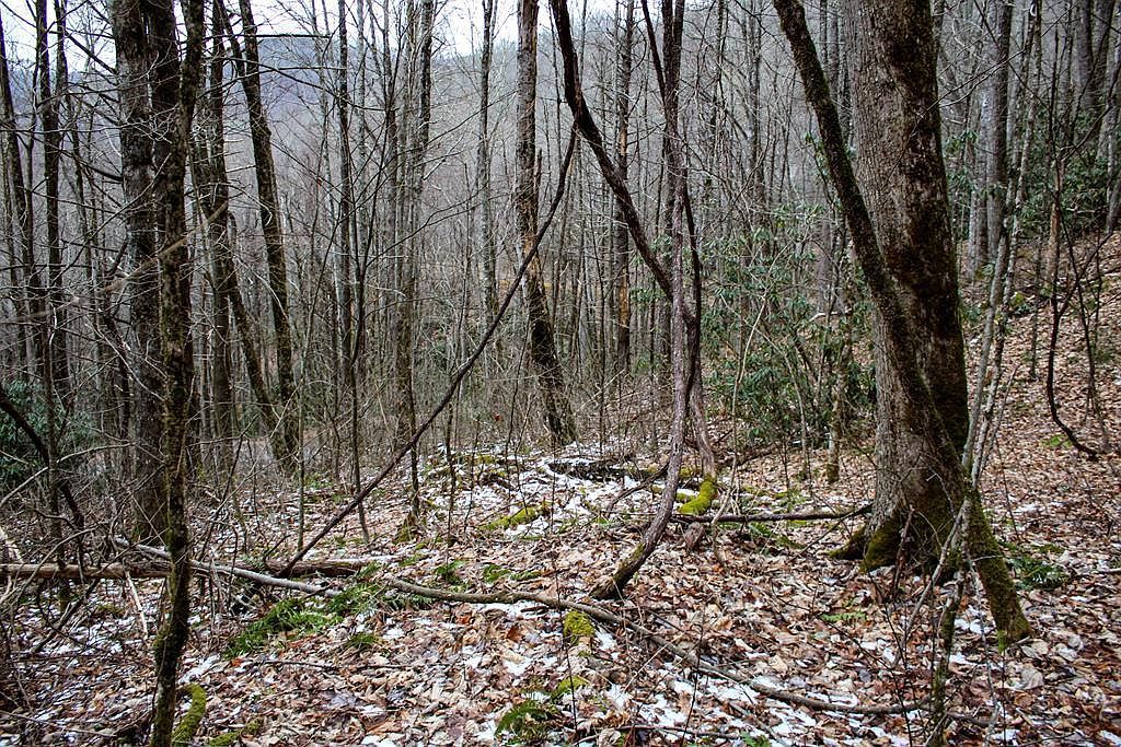 1824 Black Rock Rd Maggie Valley, NC 28751 - Thumbnail 2