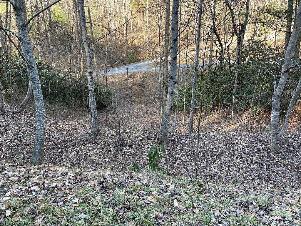 LOT 38 Brush Creek Mountain Rd Bryson City, NC 28713 - Thumbnail 2