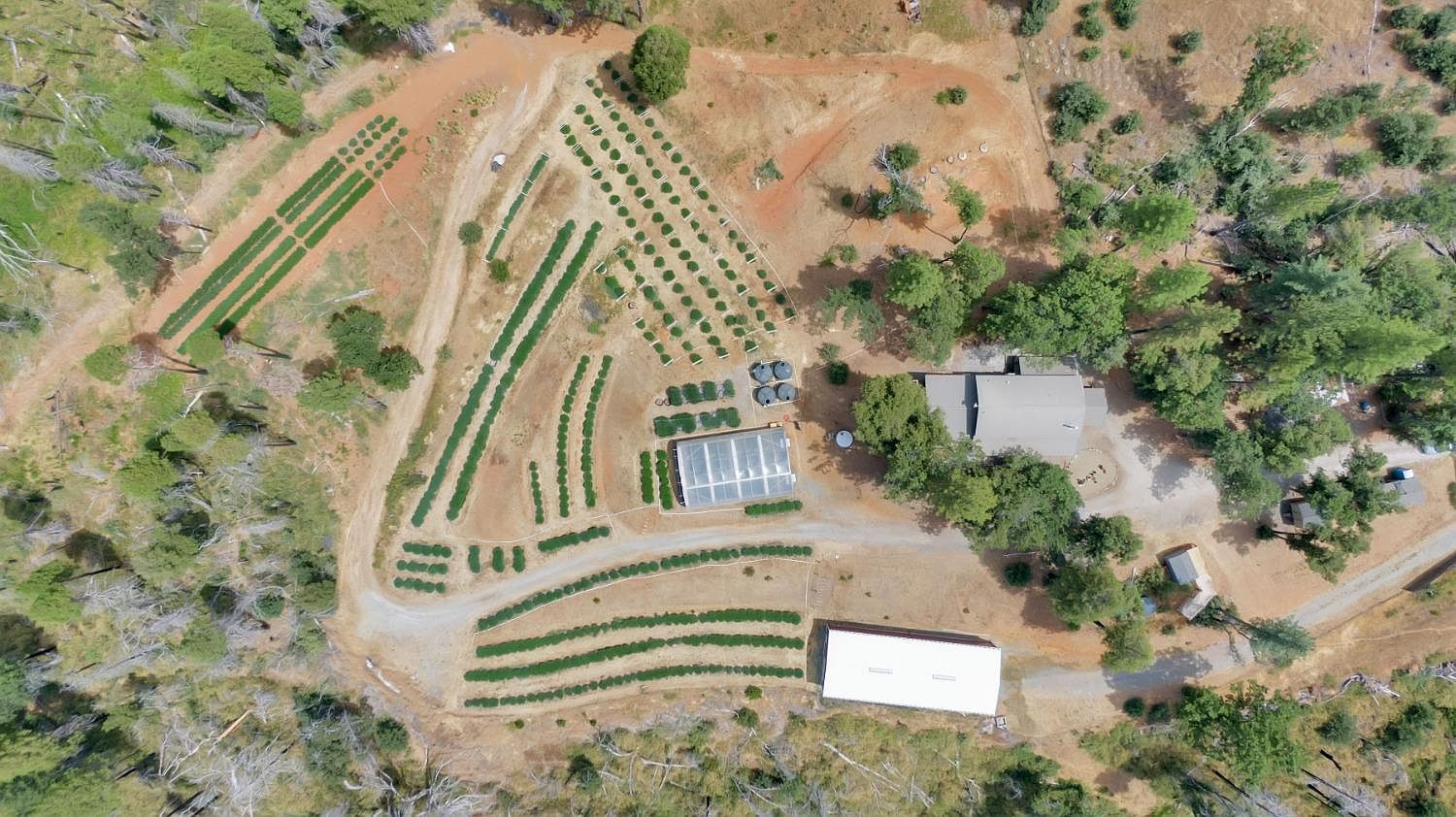 6640 Railroad Flat Rd Mountain Ranch, CA 95246 - Thumbnail 2