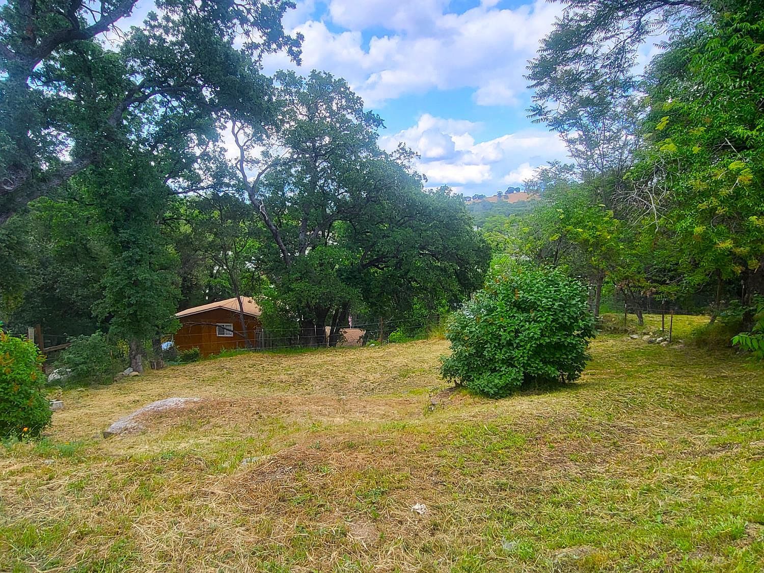 1350 Love St Angels Camp, CA 95222 - Thumbnail 2