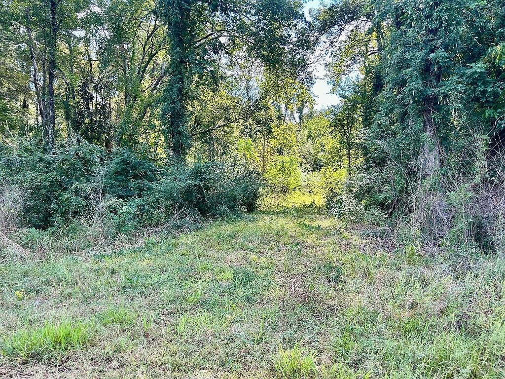 E 3rd St Atlanta, TX 75551 - Thumbnail 2