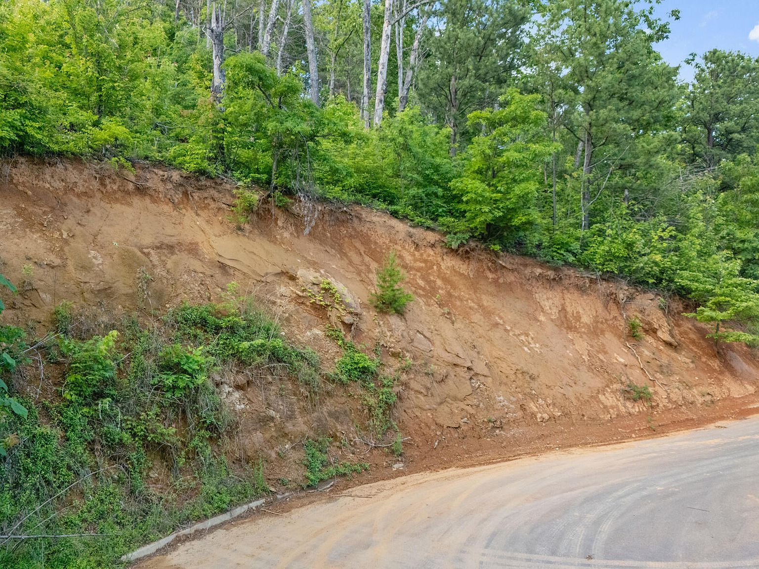 LOT 48 Spurling Rd, Sevierville, TN, 37862 - Thumbnail 2