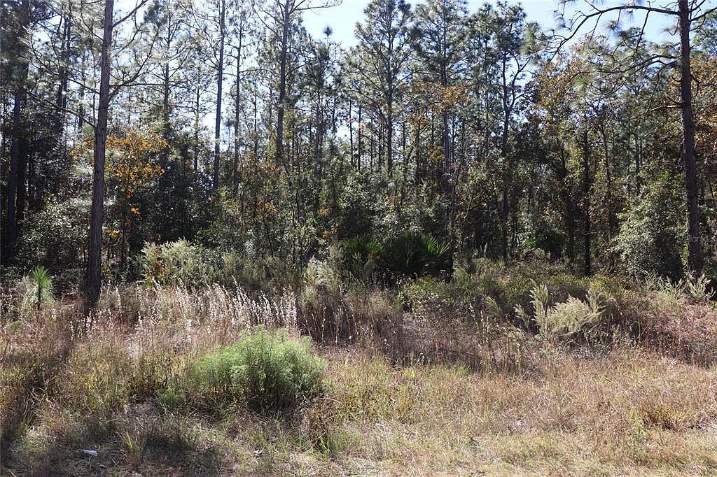 SW 131st Cir LOT 11 Ocala, FL 34481 - Thumbnail 2