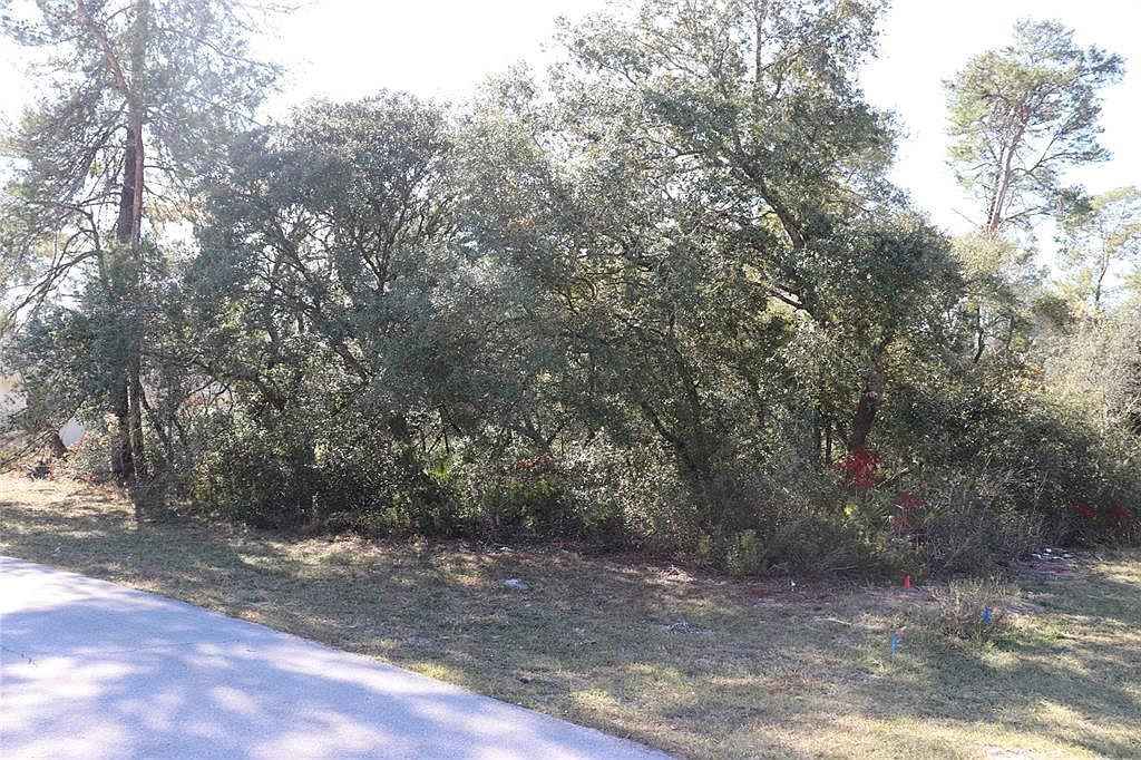 Marion Oaks Golf Rd LOT 35 Ocala, FL 34473 - Thumbnail 2