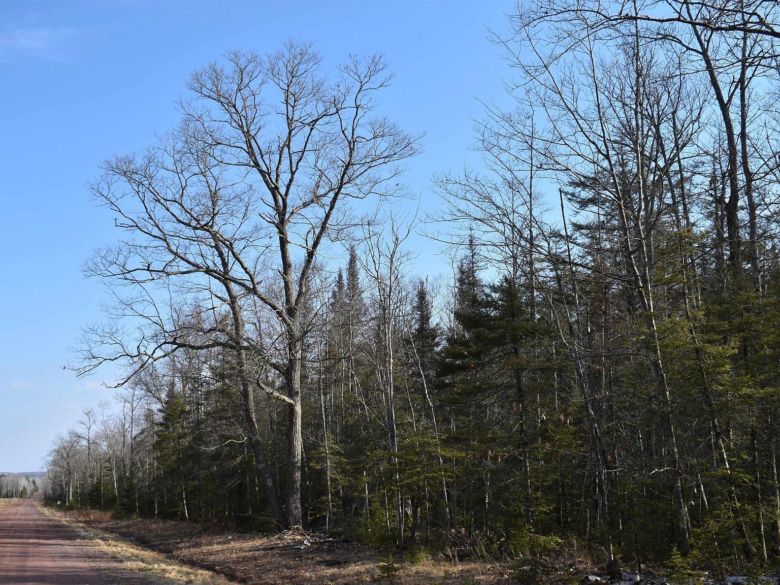 60 Andrew Anderson Rd Mason, WI 54856 - Thumbnail 2