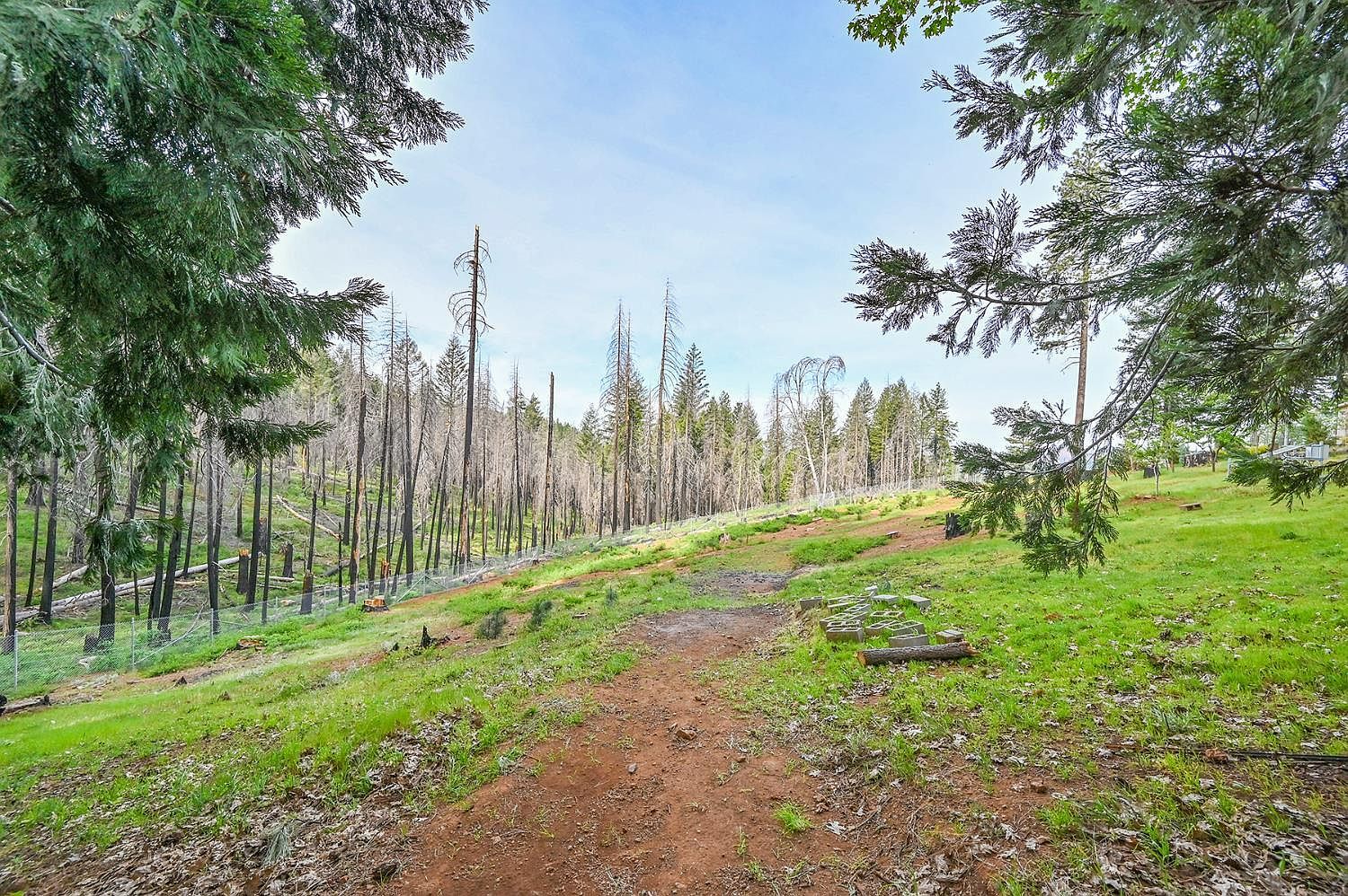 5194 Woodhaven Dr Grizzly Flats, CA 95636 - Thumbnail 2