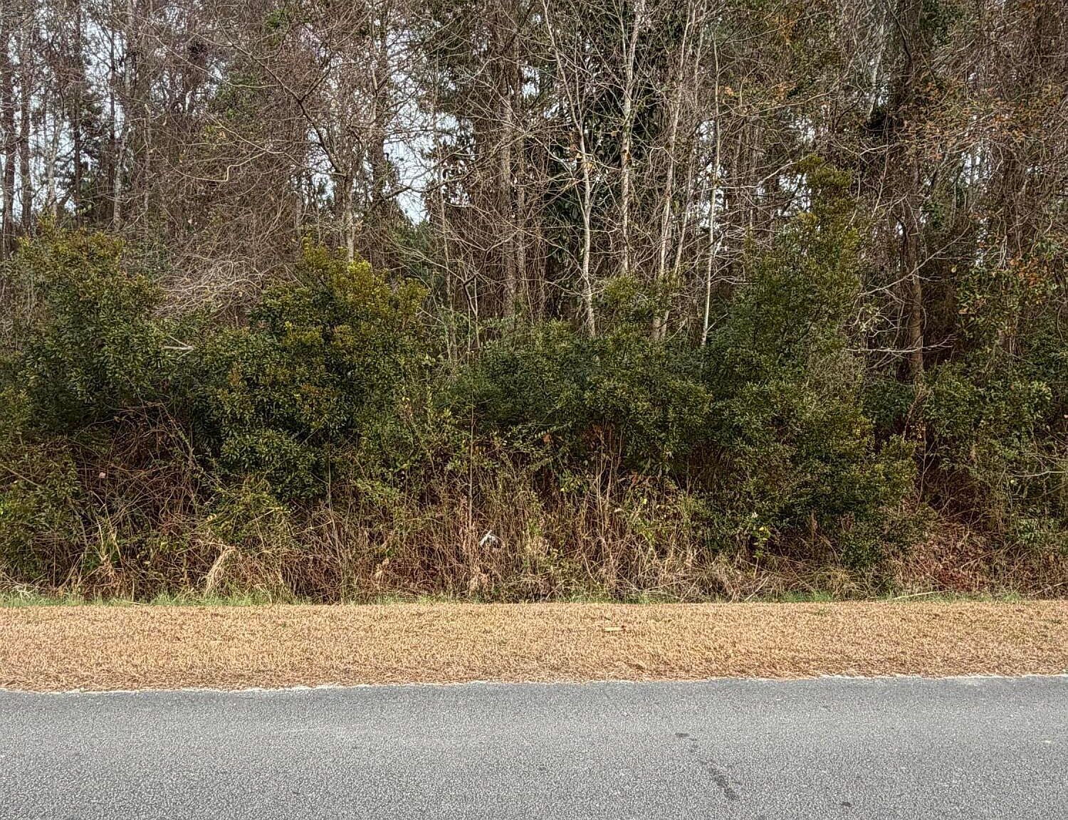 0 Joans Haven Dr Lot 5 Newport, NC 28570 - Thumbnail 2