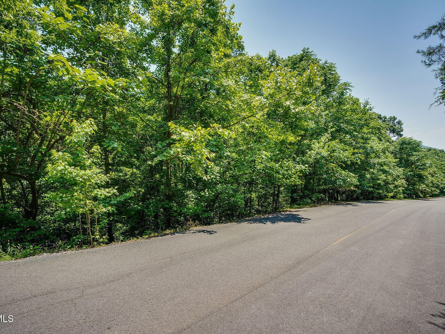 4 Walnut Bend Dr Whitesburg, TN 37891 - Thumbnail 2